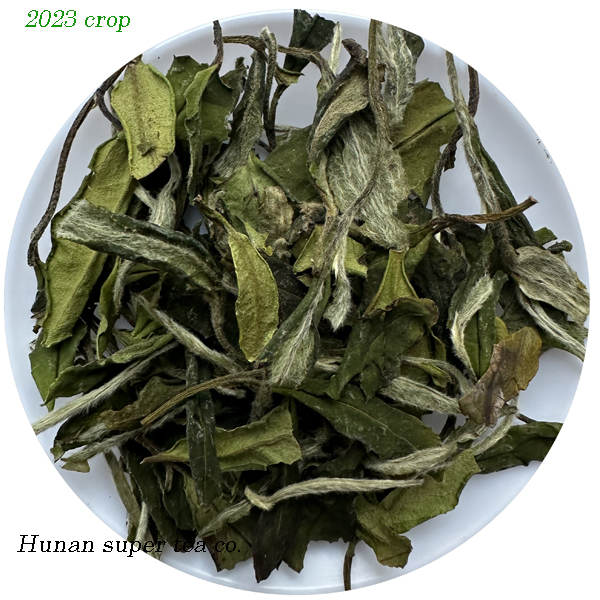 Bai mudan grade 2 * Crop 2023