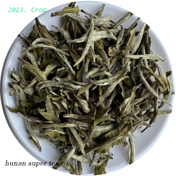 Mu Danwang ( White peony King ) -2023 CROP
