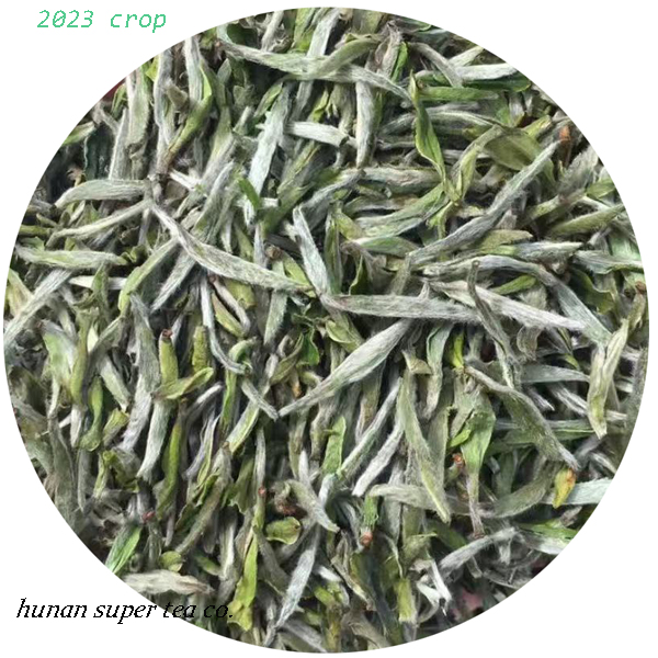 White tea super needle 2023