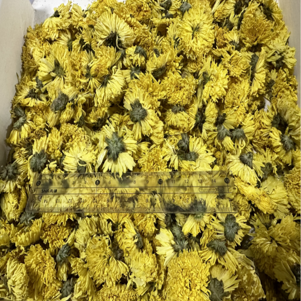 Chrisantemum colorful /Хризантема жёлтая (красивые)