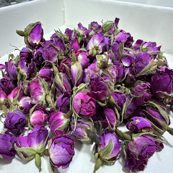 Rosa france style A