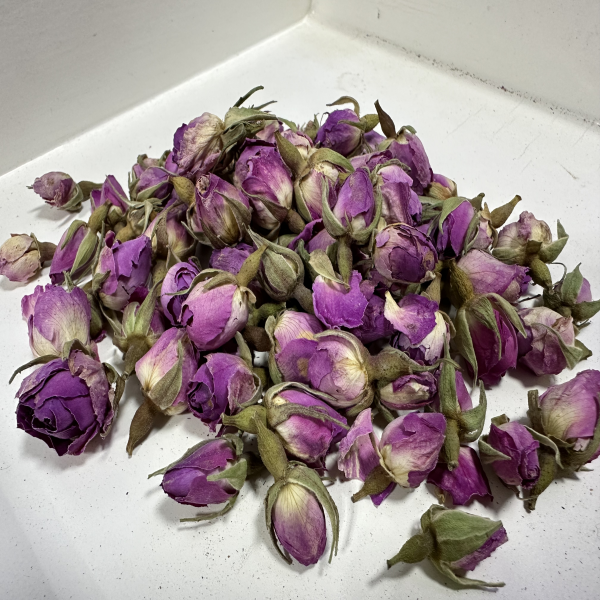 Rosa france style B