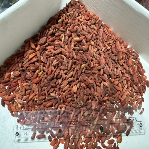 Ягоды Годжи (среднее качество)