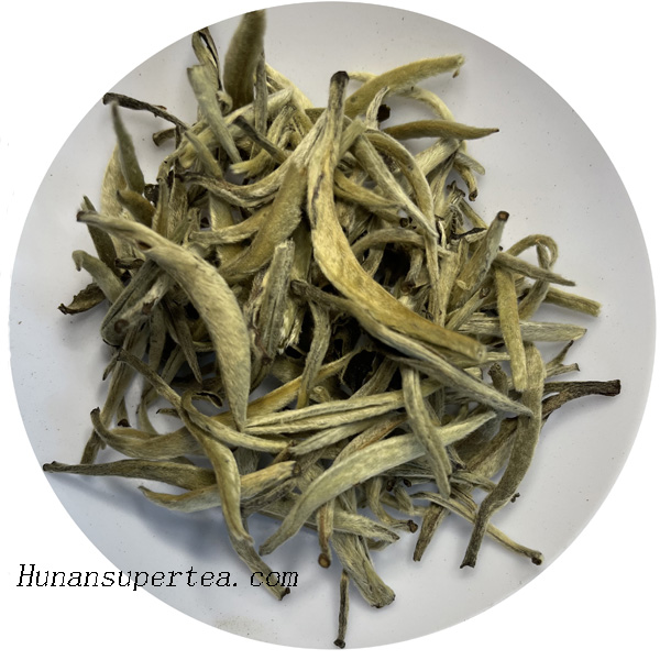 Silver Needle 3002